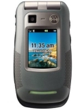 Motorola W845 Quantico